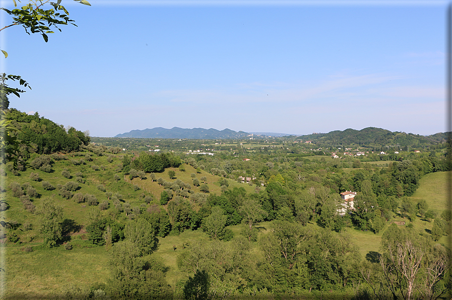 foto Colli degli Ezzelini